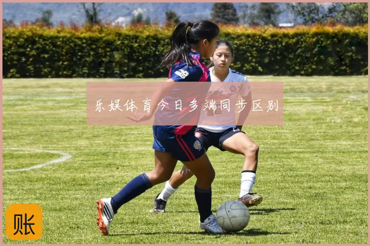 乐娱体育今日多端同步区别